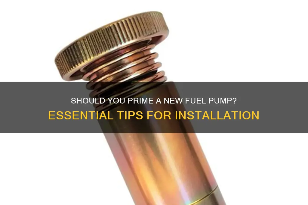 do i have to prime my new fuel pump