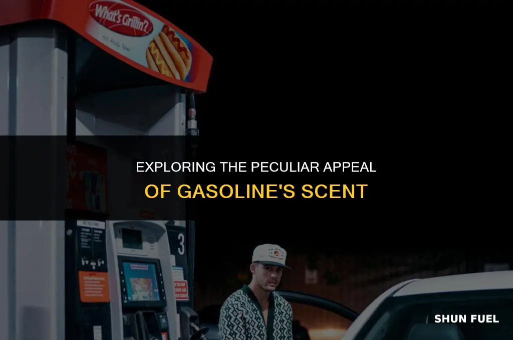 do i like the smell of gasoline
