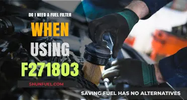 Fuel Filter Necessity When Using F271803: Yes or No?
