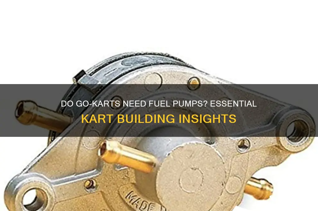 do i need a fuel pump on my go kart