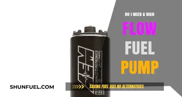 High Flow Fuel Pump: Essential Upgrade or Unnecessary Expense?