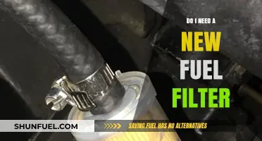 Fuel Filter: Time for a Change?