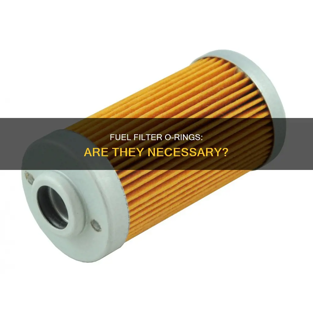 do i need a o ring on my fuel filter