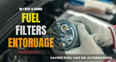 Fuel Filter Maintenance: When to Change in Your Entourage