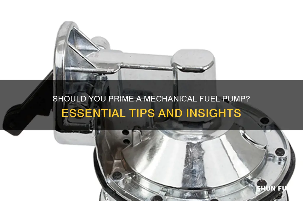 do i need to prime a mechanical fuel pump