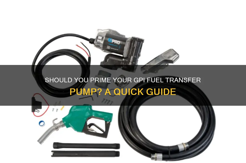 do i need to prime my gpi fuel transfer pump