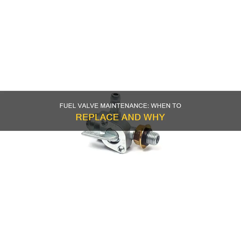 do i need to replace fuel valve