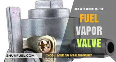 Fuel Vapor Valve: When to Replace and How to Know