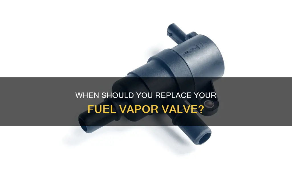do i need to replace the fuel vapor valve