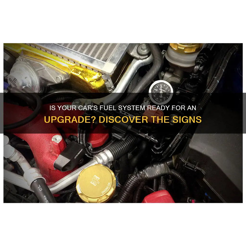 do i need to upgrade fuel lines