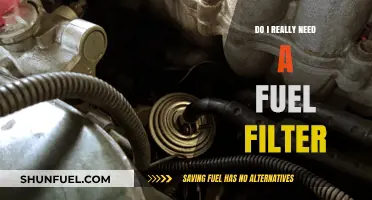 Fuel Filter: Necessary or Not?
