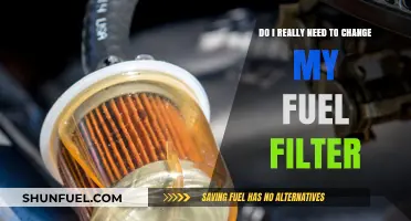 Fuel Filter Change: Necessary or Not?
