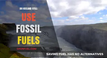 Iceland's Energy Transition: Beyond Fossil Fuels