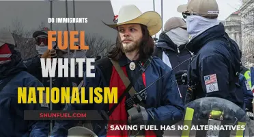Immigration's Impact: How Migrant Flows Influence White Nationalist Movements