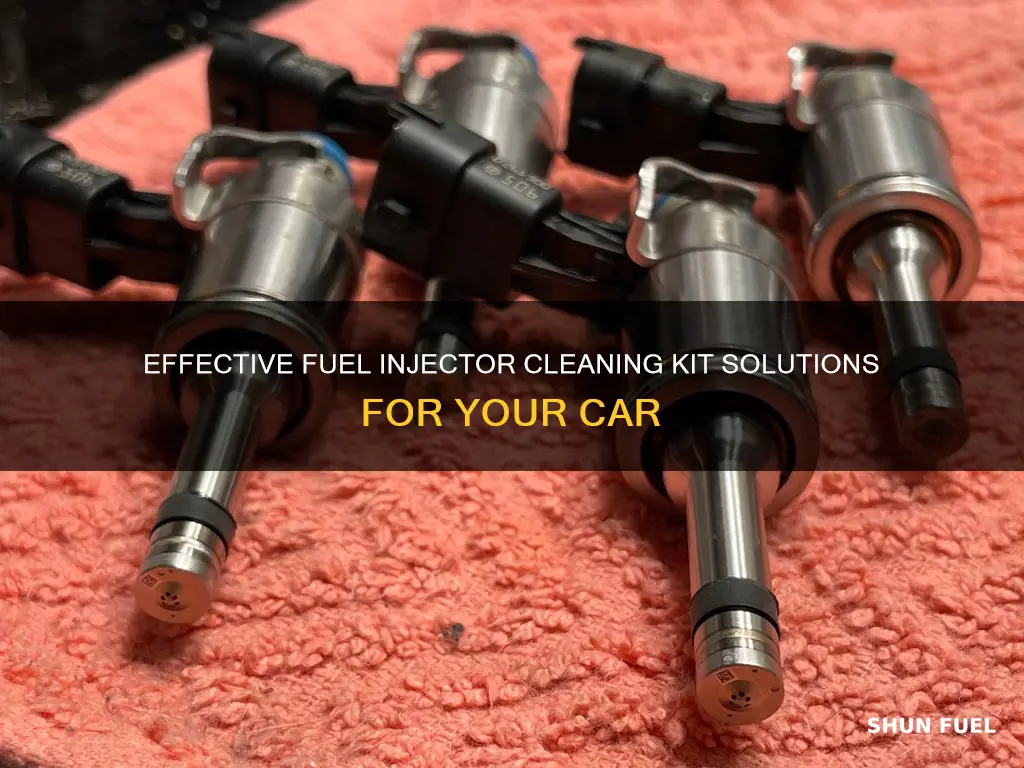 do it yourself fuel injector cleaning kit