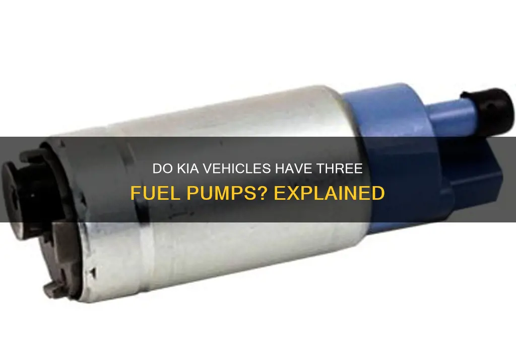 do kias have 3 fuel pump