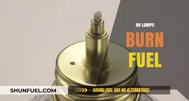 Do Lamps Burn Fuel? Exploring Lighting Energy Sources and Efficiency