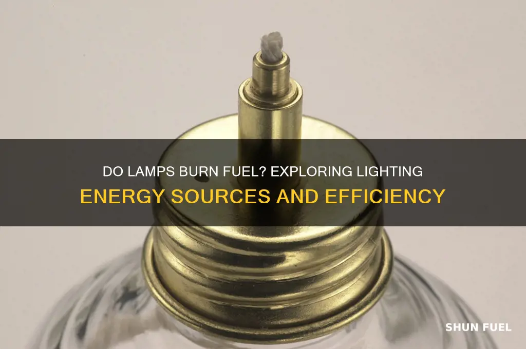 do lamps burn fuel
