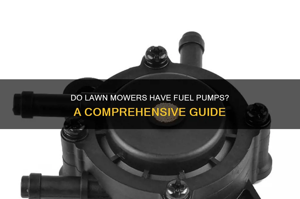 do lawn mowers have fuel pumps