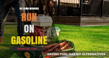 Gasoline-Powered Lawn Mowers: How They Work and Their Benefits