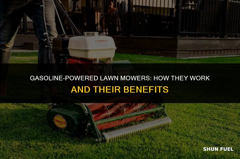 do lawn mowers run on gasoline