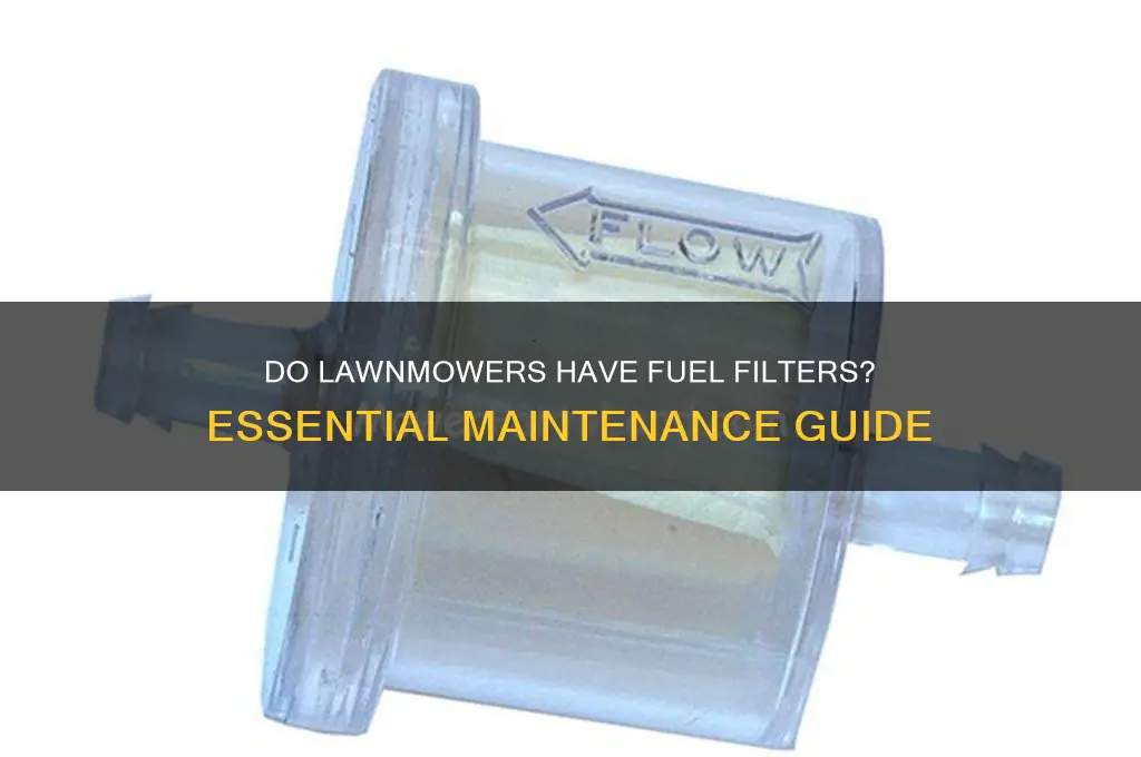 do lawnmowers have fuel filters
