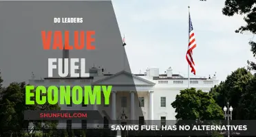 Do Leaders Prioritize Fuel Economy in Decision-Making?