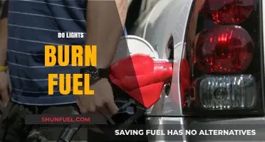 Do Lights Burn Fuel? Exploring Energy Consumption in Lighting