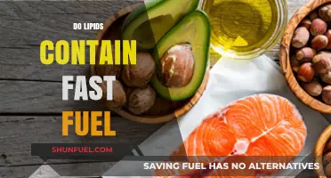 Do Lipids Provide Quick Energy? Unraveling Their Role as Fast Fuel