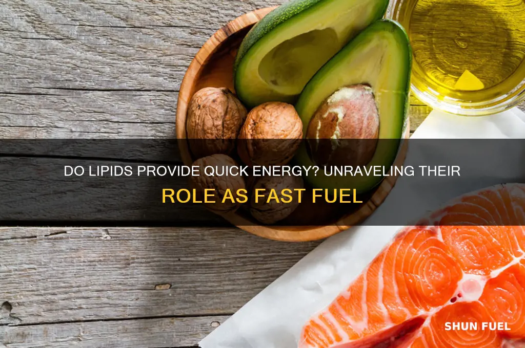 do lipids contain fast fuel
