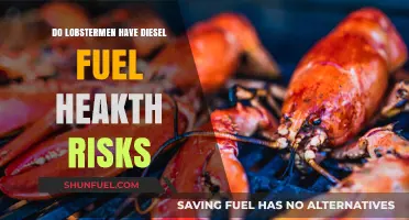 Lobstermen's Health: Diesel Fuel Dangers