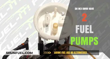 BMW M3 Fuel System: Understanding the Dual Fuel Pump Setup