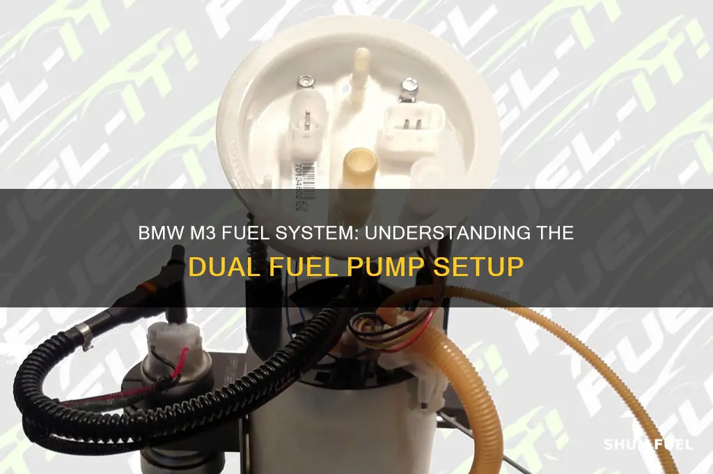 do m3 bmw have 2 fuel pumps