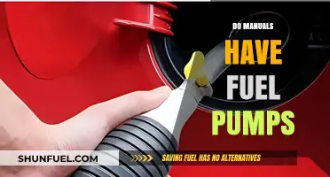 Do Manual Cars Have Fuel Pumps? Exploring Automotive Mechanics