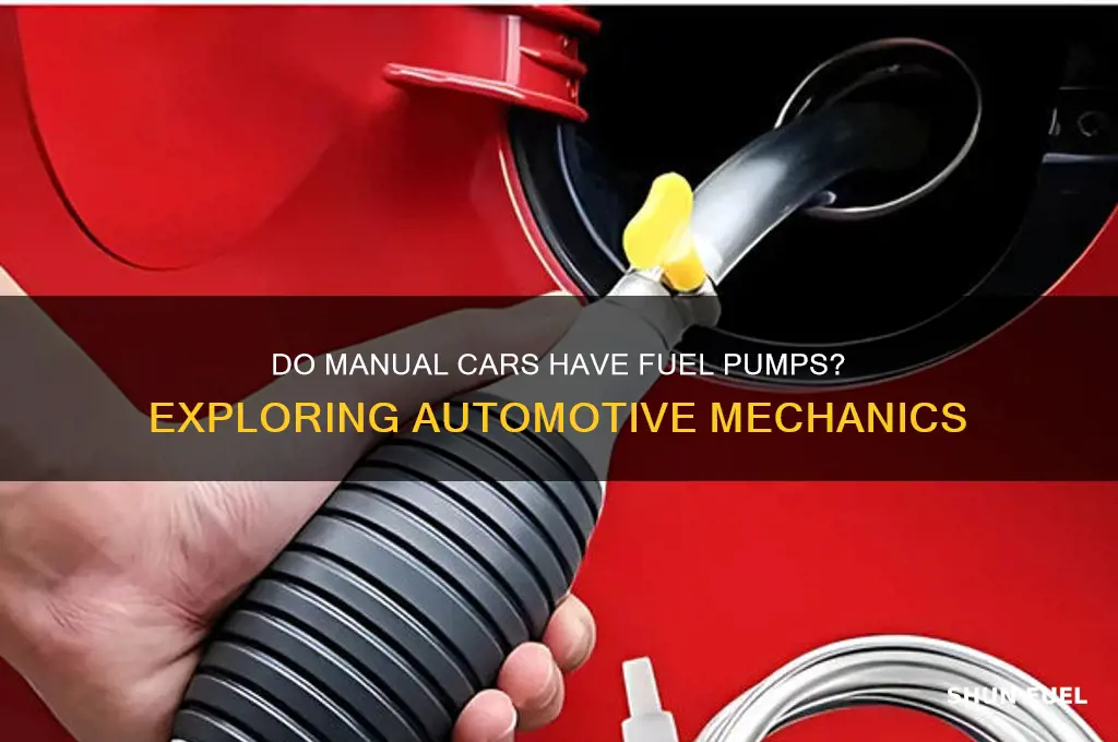 do manuals have fuel pumps