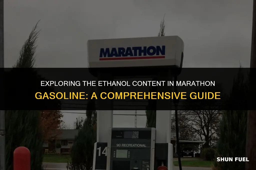 do marathon gasoline contain ethanol