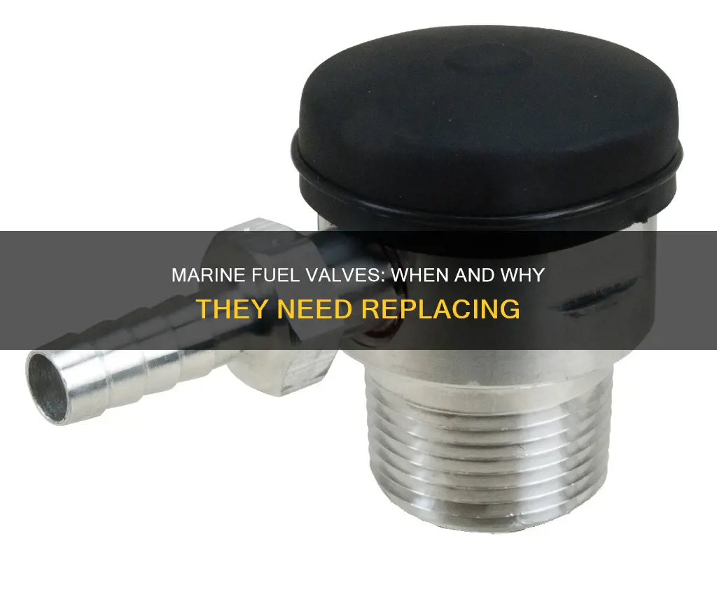 do marine fuel valves need replacing