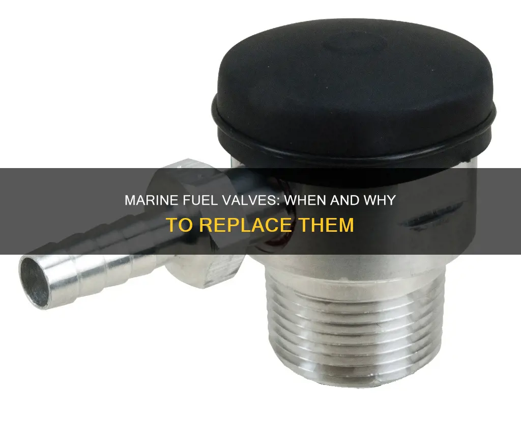 do marine fuel valves need replacing