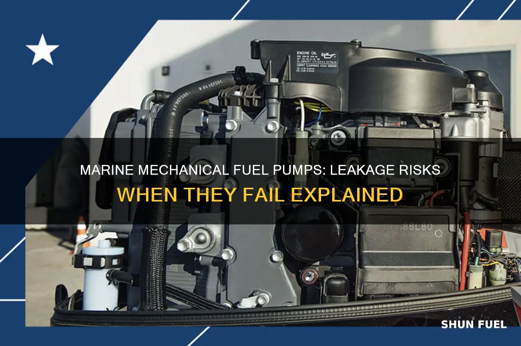 do marine mechanical fuel pumps leak when they fail