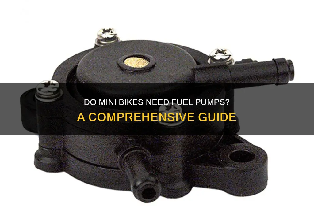 do mini bikes need fuel pumps