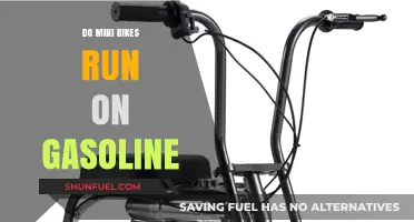 Exploring the Fuel Options for Mini Bikes: Gasoline and Beyond