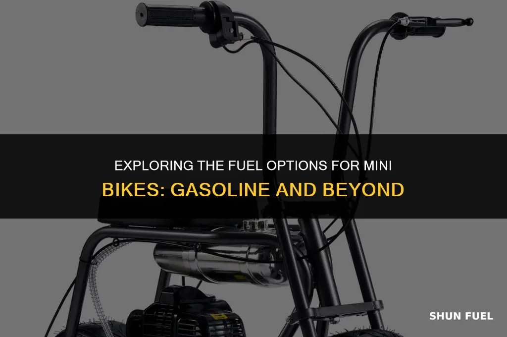do mini bikes run on gasoline