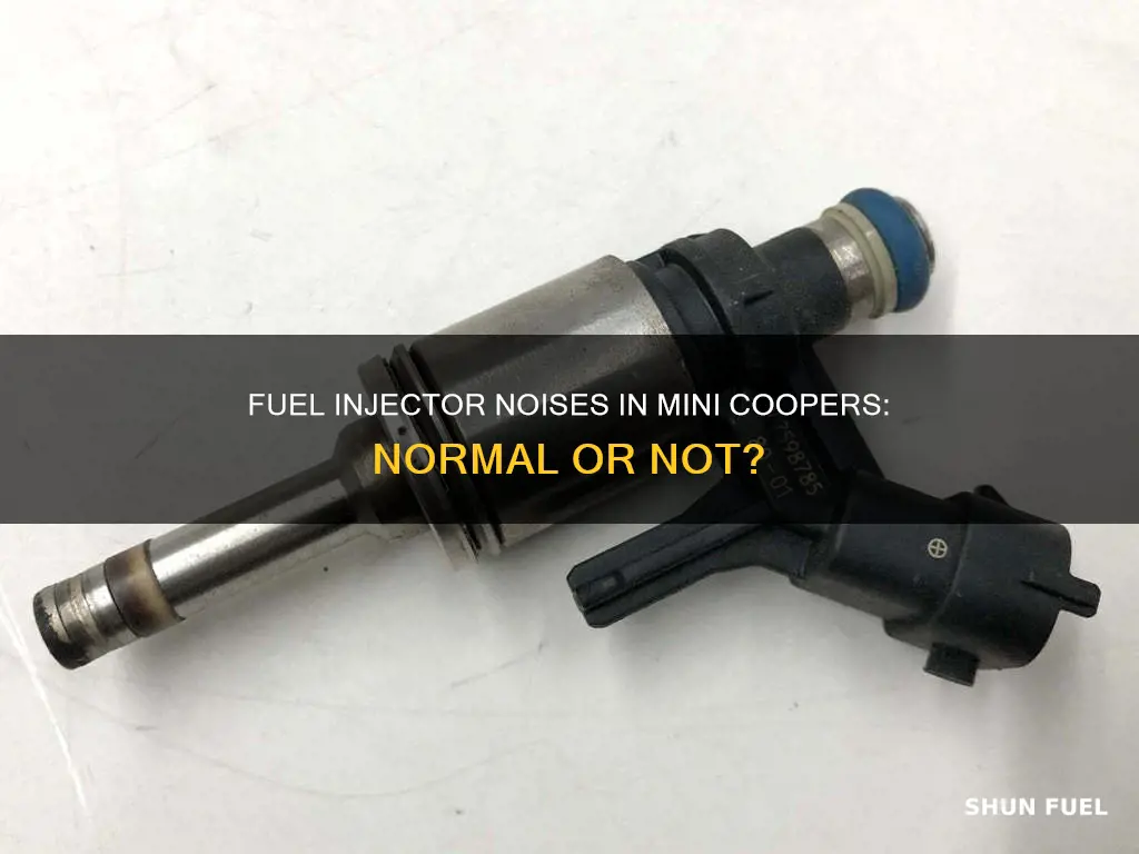 do mini coopwrs have noisy fuel injectors