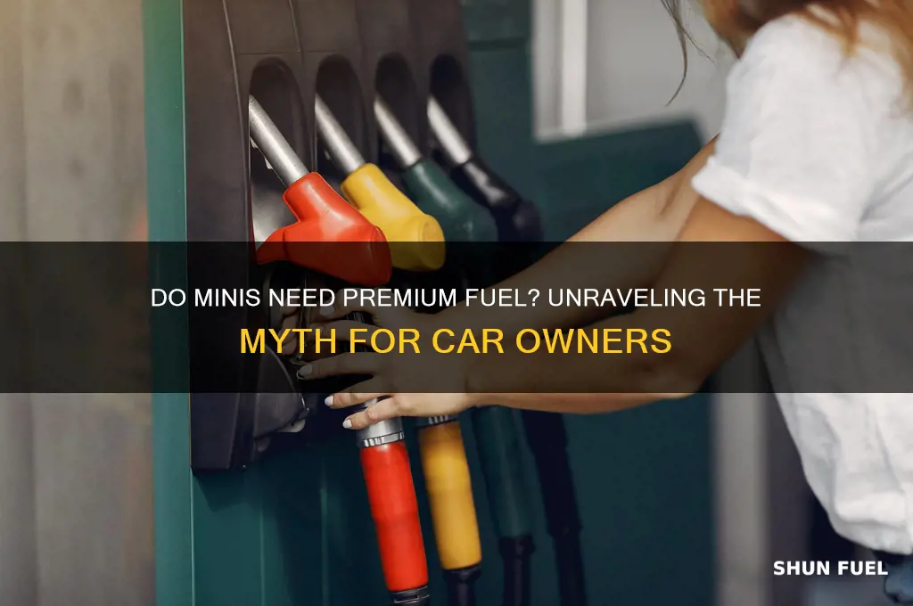 do minis require premium fuel