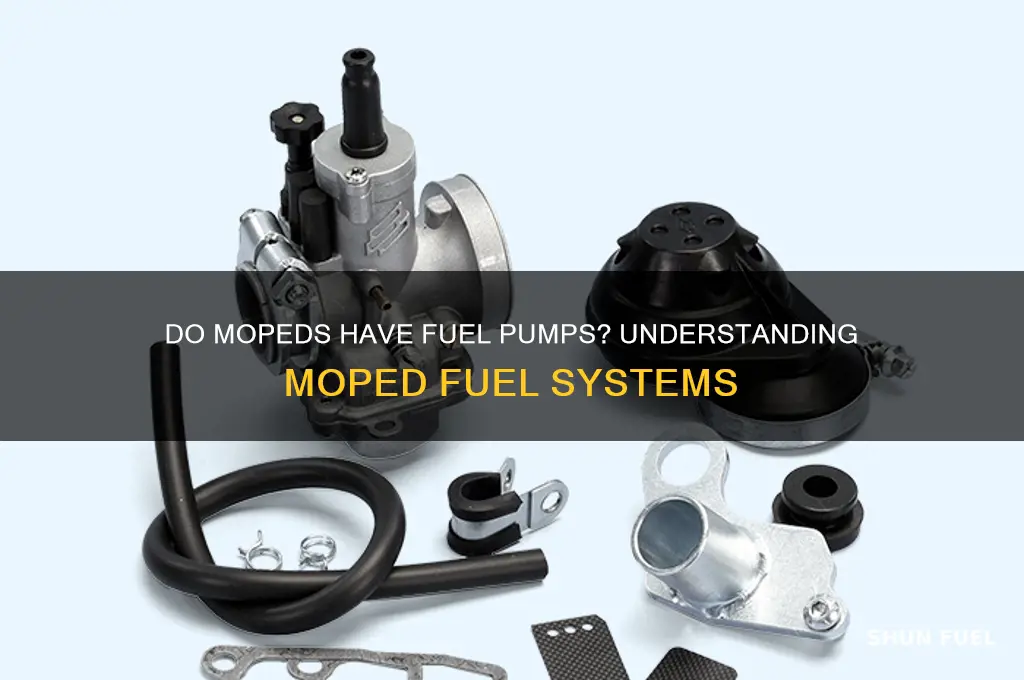 do mopeds have fuel pumps