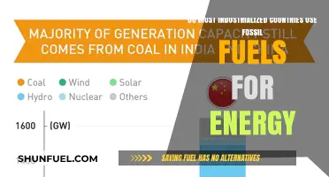 Industrialized Nations: Fossil Fuel Dependence