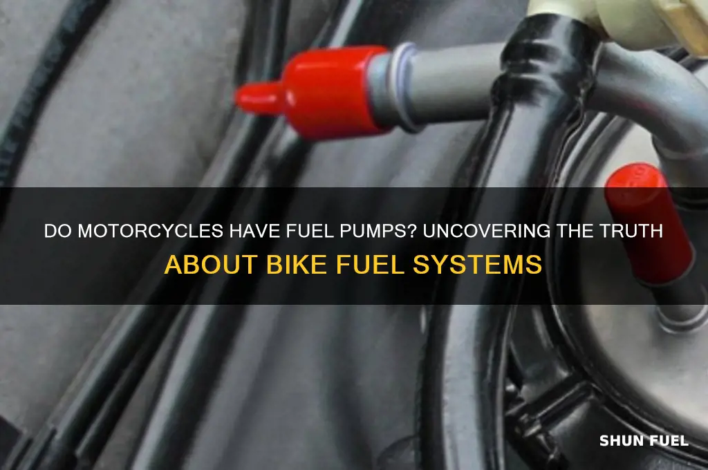 do motorcycles have a fuel pump