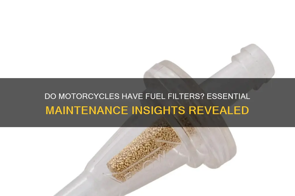 do motorcycles have fuel filters