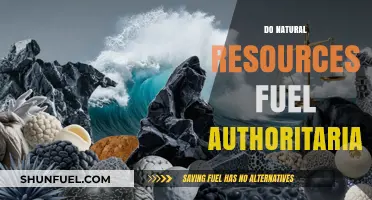 Natural Resources: A Catalyst for Authoritarian Regimes?