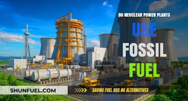 Nuclear Power Plants: Fossil Fuel Free Energy?